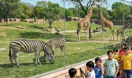 हरियाणा में 2 से 8 अक्टूबर तक चिड़ियाघरों में फ्री एंट्री, बिना टिकट देखें वन्यजीव