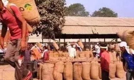 खेत से बाजार तक बदलेगा किसानों का सफर, ट्रेड शो में ब्रांडिंग और डिजिटल बिक्री का मंत्र