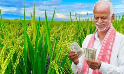 PM Kisan 24वीं किस्त का इंतजार, झारखंड के 19.97 लाख किसानों को अक्टूबर में मिल सकता है पैसा