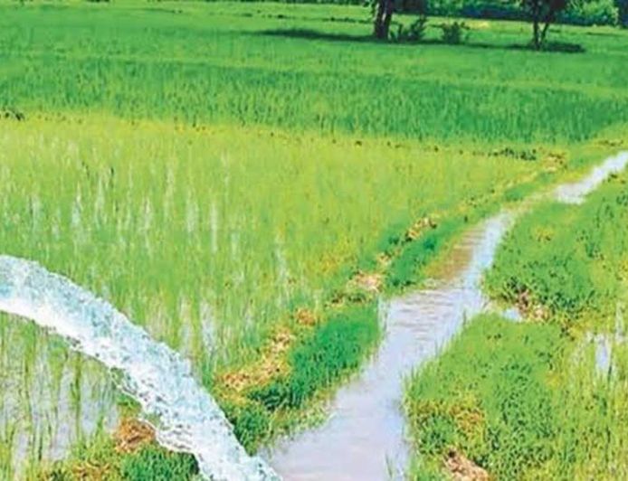 जल संसाधन विभाग द्वारा सिंचाई योजनाओं के 36 कार्यों के लिए 146.43 करोड़ रूपए स्वीकृत
