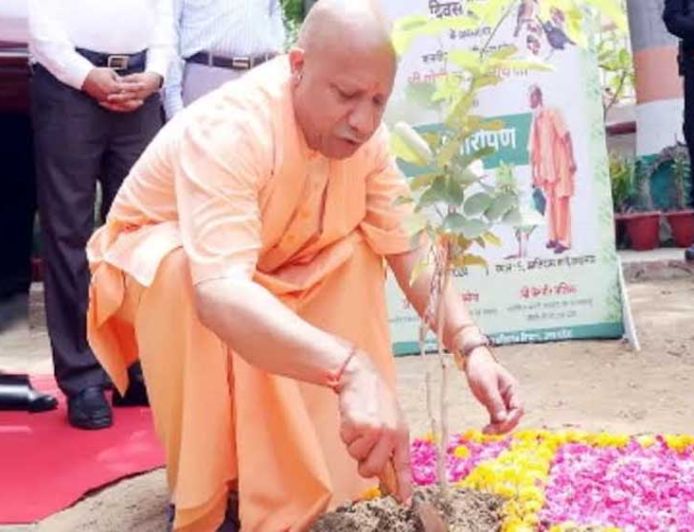 शिक्षकों के सम्मान में सभी वन प्रभाग लगाएंगे 'एक पेड़ गुरु के नाम'