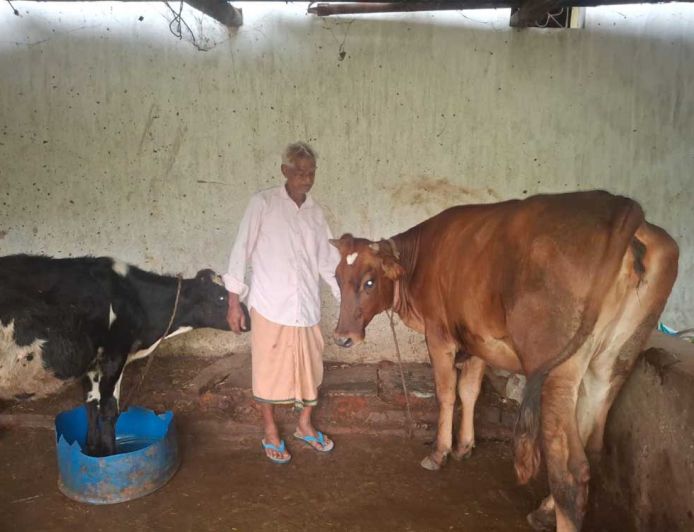 ’पीएम किसान सम्मान निधि की बचत से खरीदी पहली गाय, आज 10 गायों के साथ आत्मनिर्भर बने 75 वर्षीय परशुराम गुप्ता’