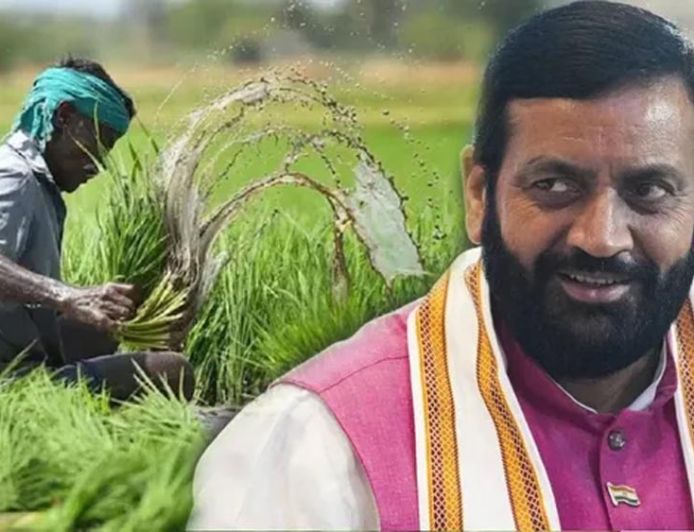 हरियाणा में किसानों के लिए बड़ा फैसला, धान छोड़ने पर 5 साल तक बढ़ती जाएगी प्रोत्साहन राशि