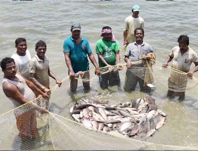 प्रधानमंत्री मत्स्य संपदा योजना ने बदली किसानों की किस्मत, मछली पालन बना अतिरिक्त आमदनी का मजबूत जरिया
