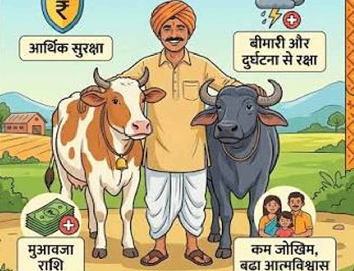 हरियाणा में पशुधन बीमा योजना का लाभ, 19.19 लाख पशुओं का हुआ इंश्योरेंस