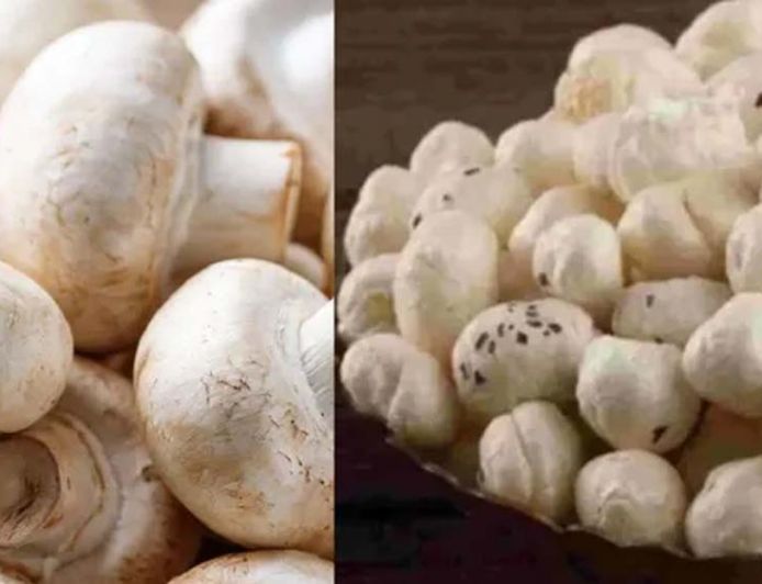 मखाने के बीच बिहार का मशरूम चमका, 10 साल में उत्पादन 0.06 से बढ़कर 42.19 हजार टन