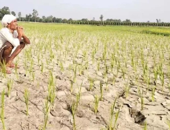 हरियाणा से मानसून की विदाई, सामान्य से 23% कम हुई बारिश; 317.5 मिमी वर्षा दर्ज