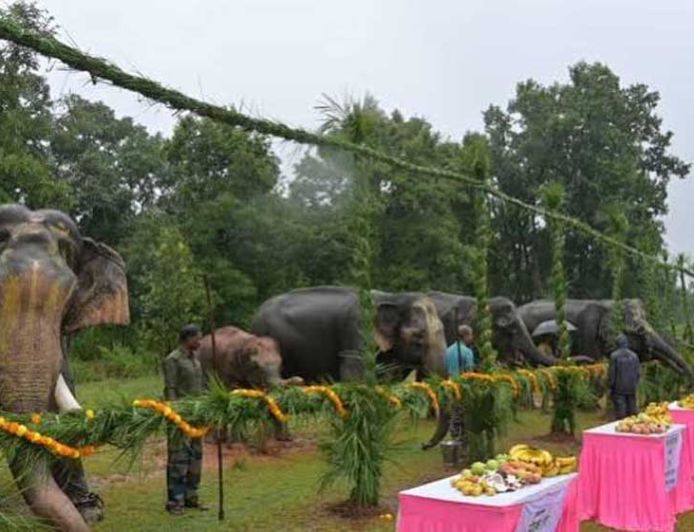 गजराजों के विश्राम और सेवा का पर्व, ‘हाथी पुनर्यौवनीकरण’ कैंप-2026 का हुआ शुभारंभ