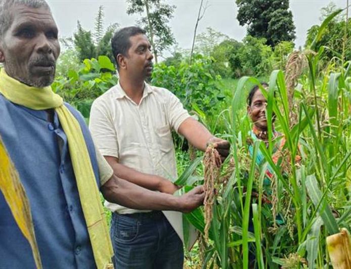 बीजों की कोठरी में सहेजी है पीढ़ियों की खुशहाली, मझगवां के आदिवासी परिवारों ने बचाकर रखी देसी अनाज की विरासत
