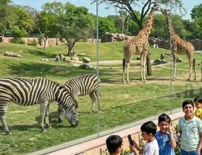 हरियाणा में 2 से 8 अक्टूबर तक चिड़ियाघरों में फ्री एंट्री, बिना टिकट देखें वन्यजीव