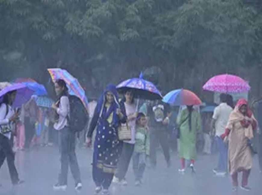 हरियाणा में फिर एक्टिव हुआ मानसून, जींद-कुरुक्षेत्र समेत 6 जिलों में आज बारिश का अलर्ट
