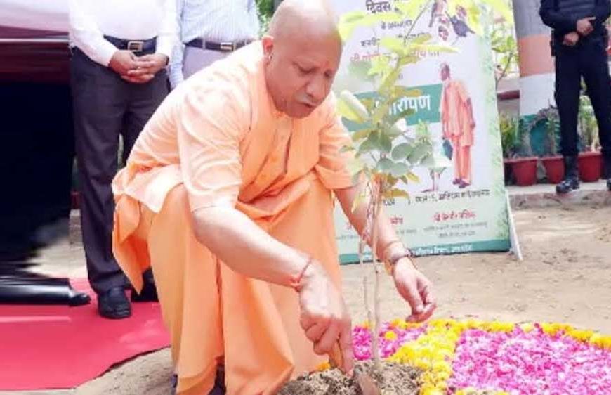 शिक्षकों के सम्मान में सभी वन प्रभाग लगाएंगे 'एक पेड़ गुरु के नाम'