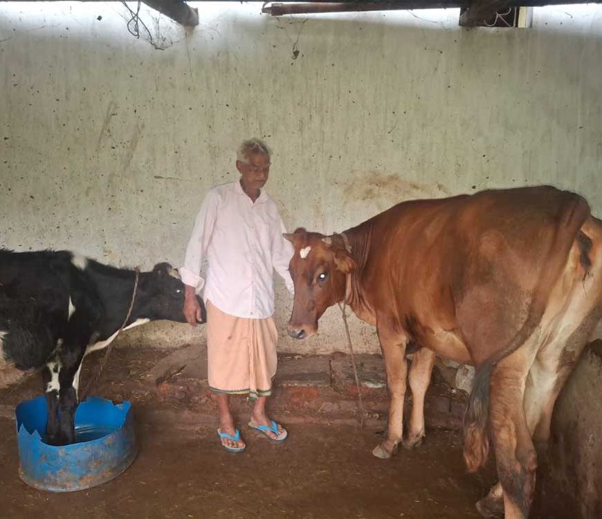 ’पीएम किसान सम्मान निधि की बचत से खरीदी पहली गाय, आज 10 गायों के साथ आत्मनिर्भर बने 75 वर्षीय परशुराम गुप्ता’
