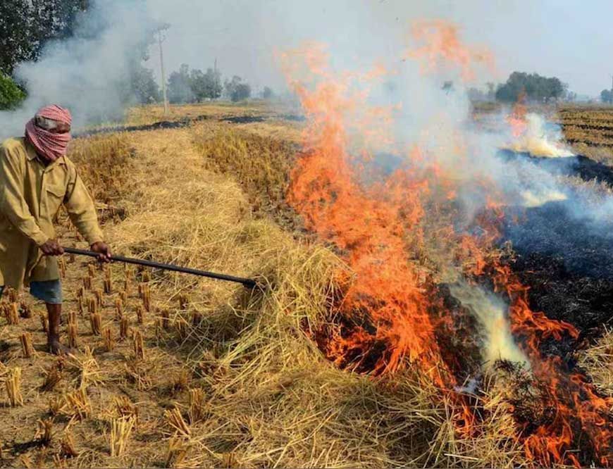 विदिशा में लगेगा CBG प्लांट, अब पराली नहीं जलेगी बल्कि किसानों की बढ़ेगी कमाई