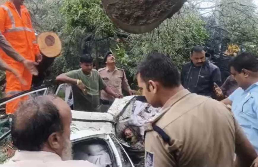 इंदौर में दर्दनाक हादसा: कार पर गिरा पेड़, डिप्टी कलेक्टर की मां की मौत; दो घायल