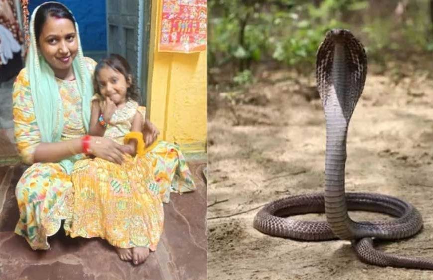 सांप के डसने से 4 साल की बच्ची की मौत, परिजनों ने अस्पताल पर लगाए गंभीर आरोप