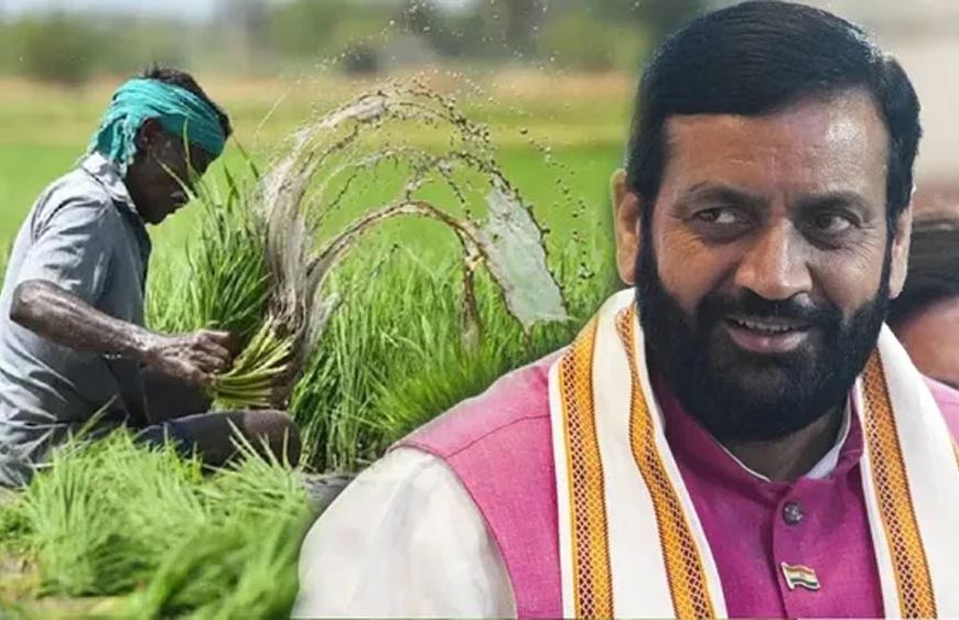 हरियाणा में किसानों के लिए बड़ा फैसला, धान छोड़ने पर 5 साल तक बढ़ती जाएगी प्रोत्साहन राशि