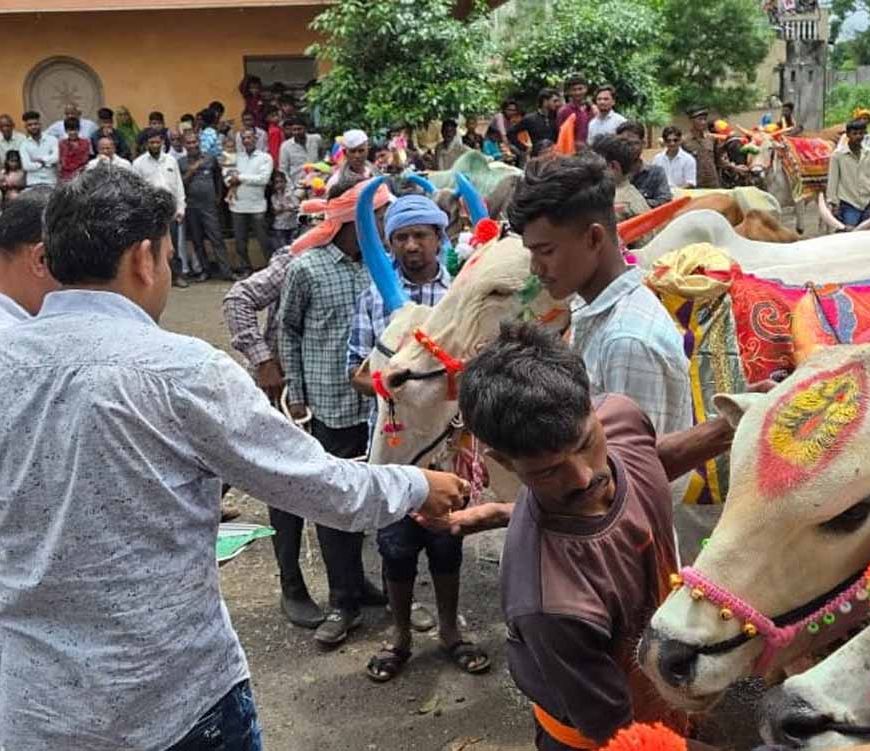 CG में पोला पर्व की धूम, CM विष्णुदेव साय कार्यक्रमों में होंगे शामिल