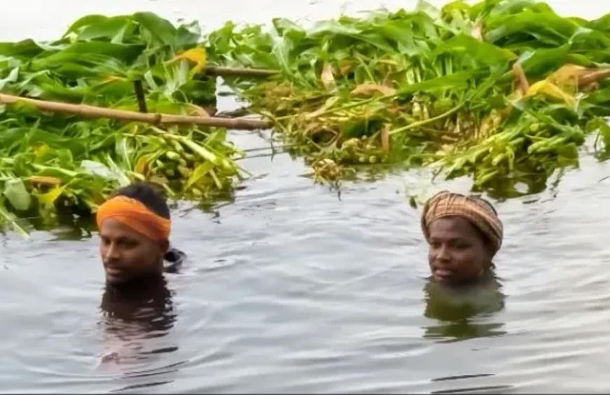 सरयू नदी का जलस्तर बढ़ा, सिवान के दियारा इलाके में बाढ़ जैसे हालात