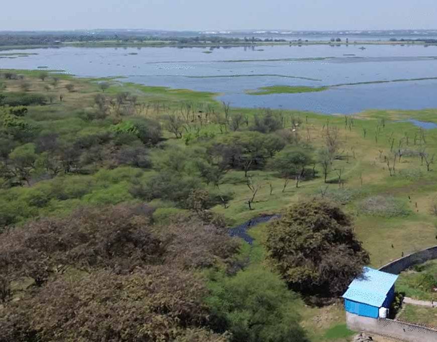 भोपाल के बड़ा तालाब-कलियासोत किनारे कब्जों पर NGT में आज सुनवाई, सर्वे रिपोर्ट होगी पेश