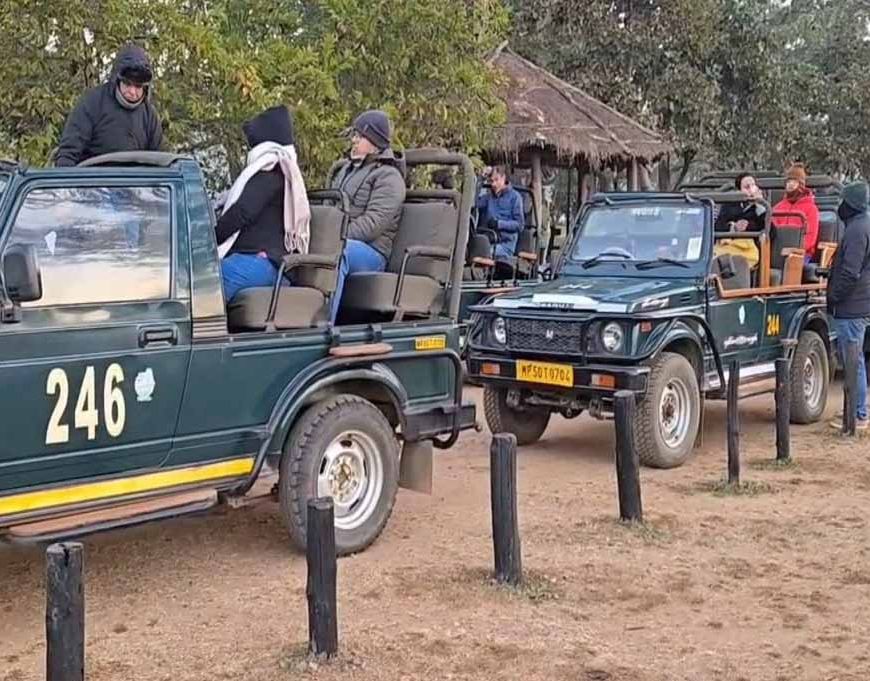 कान्हा टाइगर रिजर्व में जंगल सफारी के लिए HSRP नंबर प्लेट अनिवार्य, वाहन रजिस्ट्रेशन के बाद ही मिलेगी एंट्री