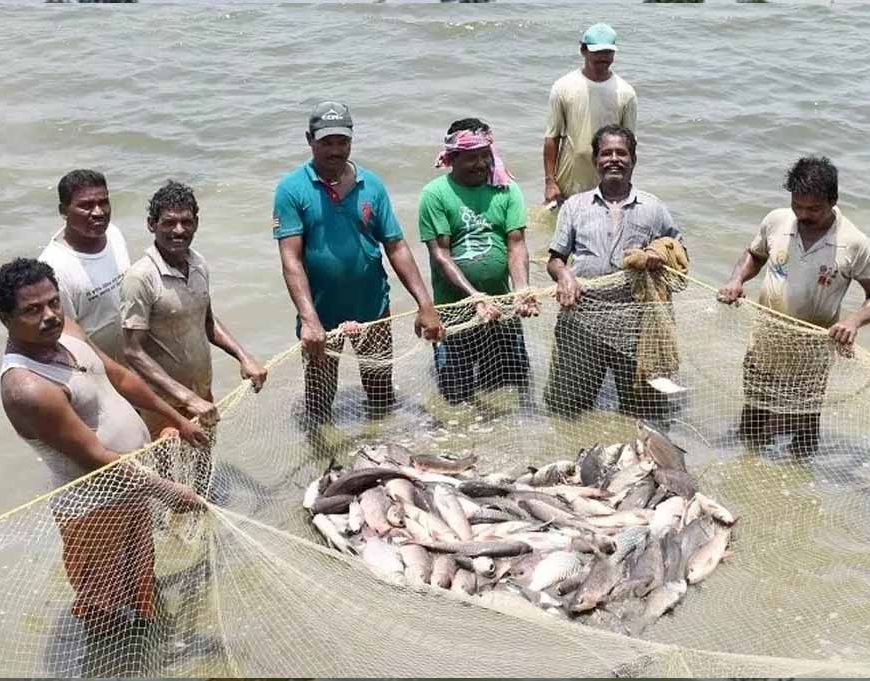 प्रधानमंत्री मत्स्य संपदा योजना ने बदली किसानों की किस्मत, मछली पालन बना अतिरिक्त आमदनी का मजबूत जरिया