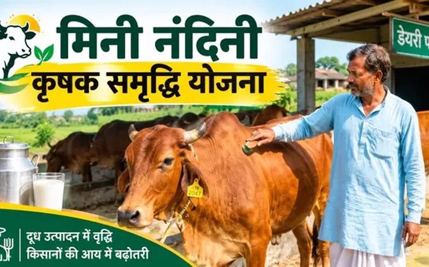 गोरखपुर में मिनी नंदिनी योजना का बढ़ा दायरा, 20 नए लाभार्थी जुड़े; संख्या 26 हुई