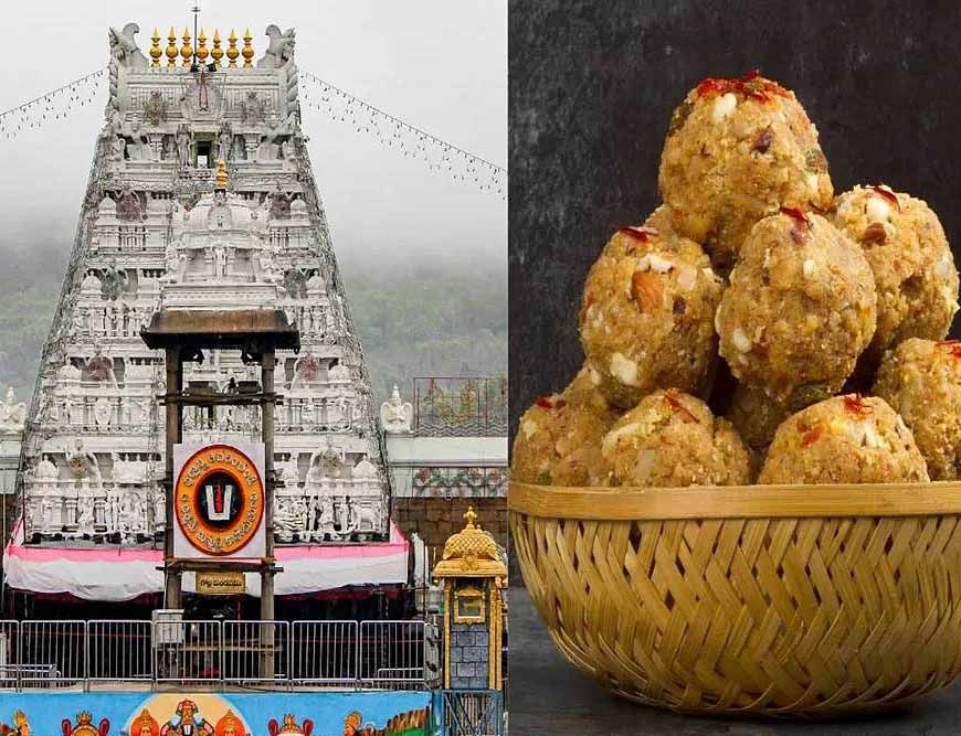 तिरुपति लड्डू के घी में कथित मिलावट, पाम ऑयल इस्तेमाल होने का आरोप
