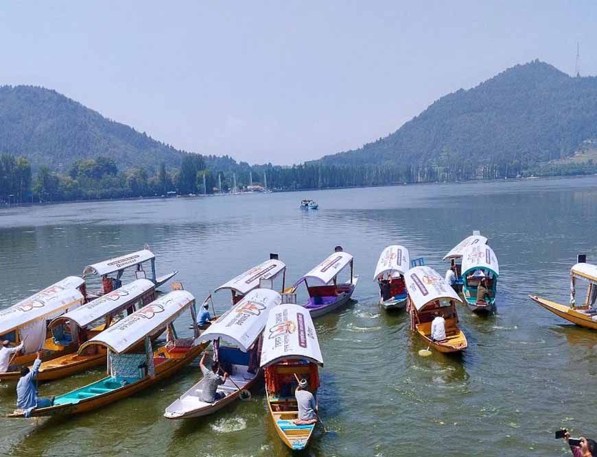 आर्टिकल 370 हटने के बाद कश्मीर में बदली तस्वीर, लोकल आतंकियों के आंकड़ों में गिरावट