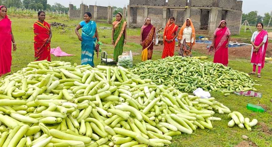 अतिक्रमण मुक्त 25 एकड़ बंजर भूमि पर उगी समृद्धि