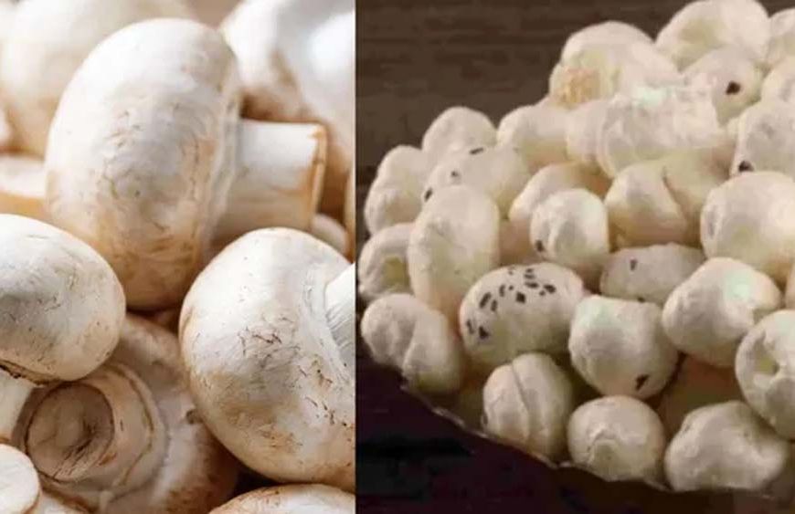 मखाने के बीच बिहार का मशरूम चमका, 10 साल में उत्पादन 0.06 से बढ़कर 42.19 हजार टन
