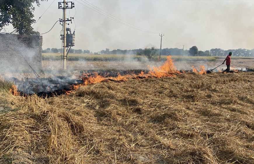 पंजाब में धान कटाई के साथ पराली जलना शुरू, 6 दिन में 15 मामले