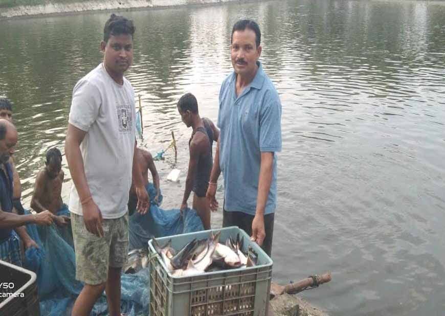 0.40 हेक्टेयर में गुलाब पटेल ने लिखा मछली पालन से समृद्धि का नया अध्याय