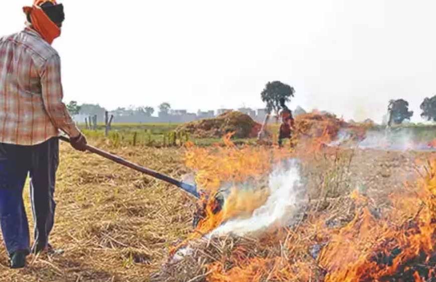 पराली जलाने से रोकने के लिए किसानों को ₹100 प्रति क्विंटल प्रोत्साहन मिले: प्रताप सिंह बाजवा
