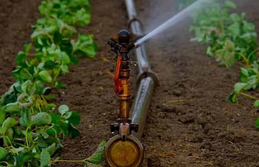 यूपीआईटीएस-26 में दिखेगी यूपी की स्मार्ट सिंचाई व्यवस्था, तकनीक से जल प्रबंधन और बाढ़ नियंत्रण का बना यूपी मॉडल