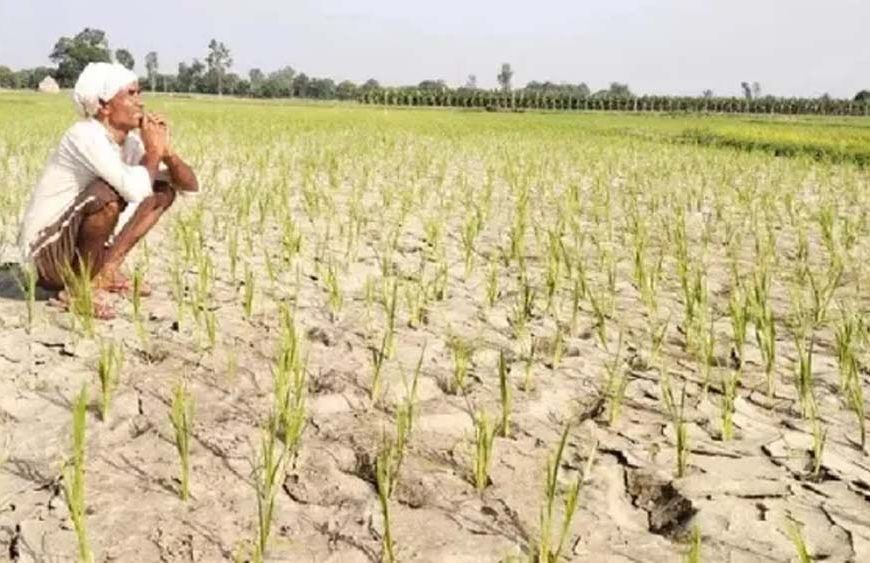 हरियाणा से मानसून की विदाई, सामान्य से 23% कम हुई बारिश; 317.5 मिमी वर्षा दर्ज