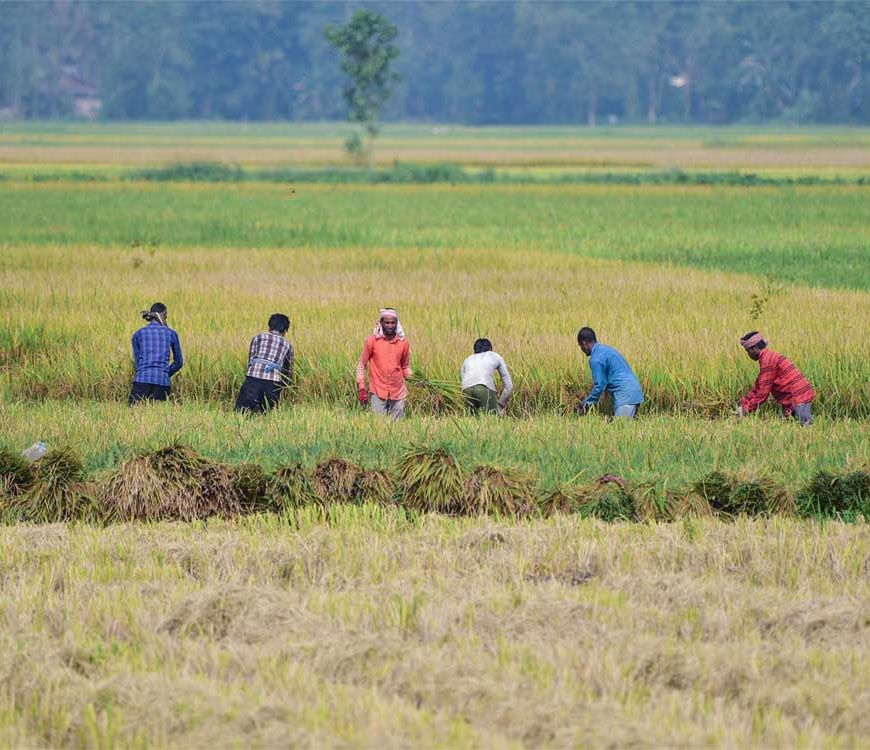 एग्री विस्टा–2026 में कृषि नवाचार और उद्यमिता पर जोर