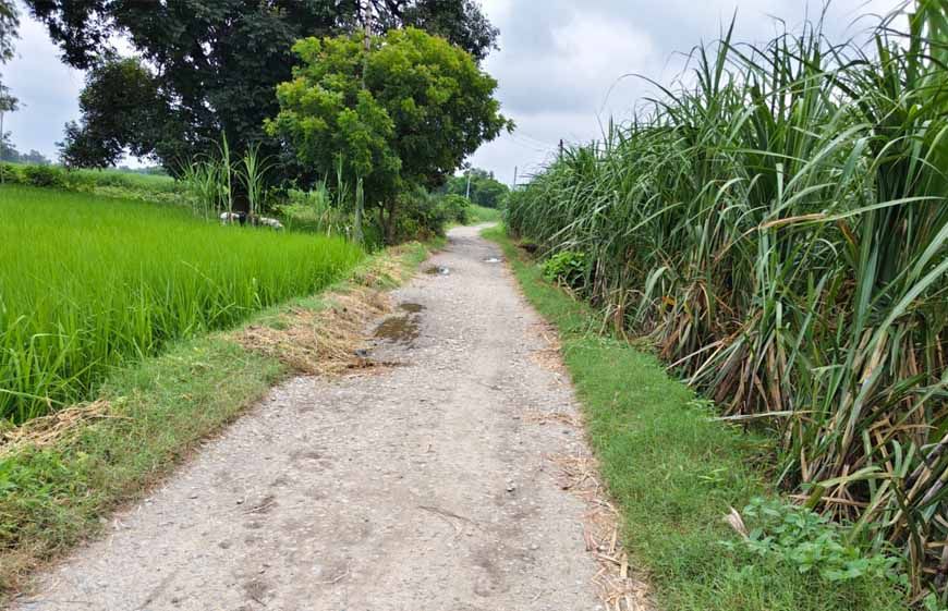 गन्ने से बासमती तक, खेती की चुनौतियों पर मेरठ में हुआ मंथन
