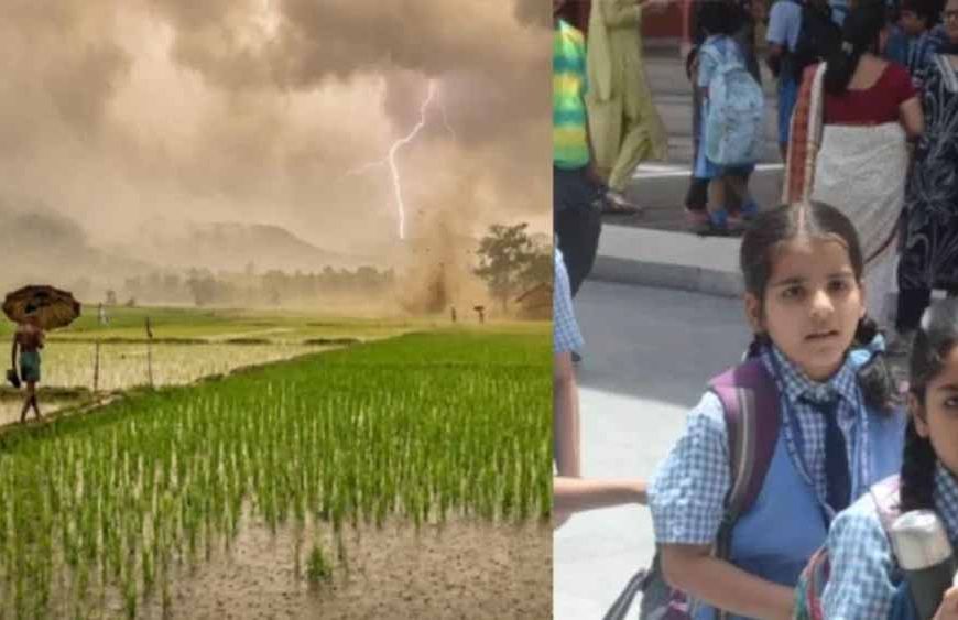 CG में भारी बारिश से स्कूल बंद, DEO ने जारी किया आदेश