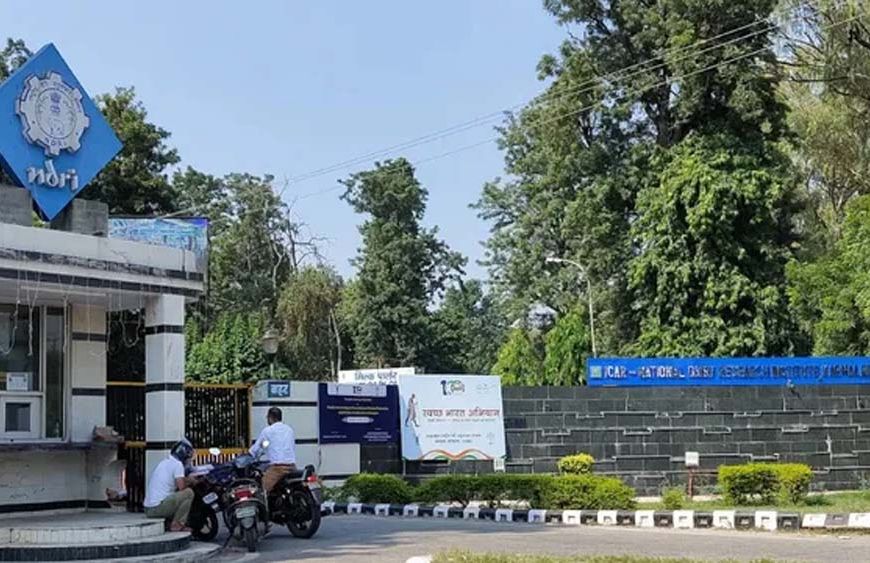 दूध में मिलावट पकड़ना होगा आसान, NDRI ने बनाई 8 मिनट में फार्मेलिन जांचने वाली स्ट्रिप
