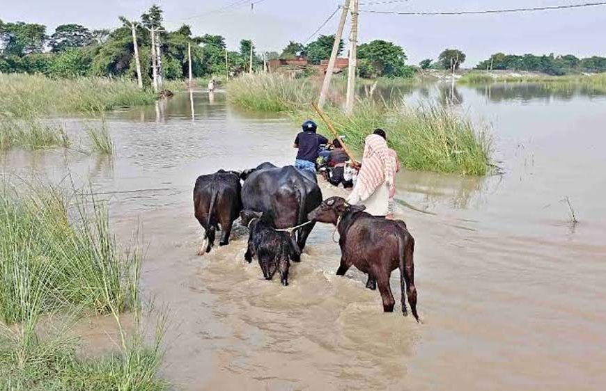 बिहार में बाढ़ का विकराल रूप, गंडक बैराज से 5.43 लाख क्यूसेक पानी छोड़ा; सैकड़ों घर डूबे