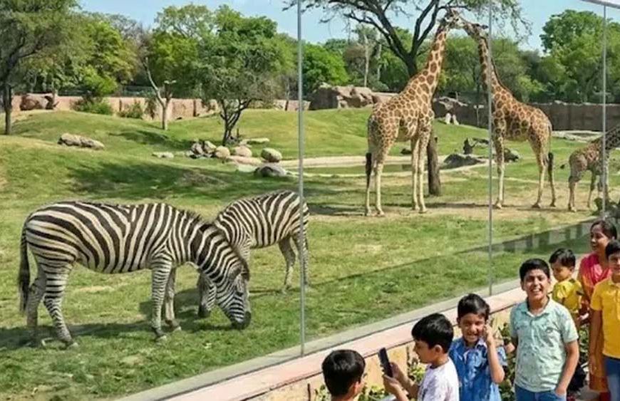 हरियाणा में 2 से 8 अक्टूबर तक चिड़ियाघरों में फ्री एंट्री, बिना टिकट देखें वन्यजीव