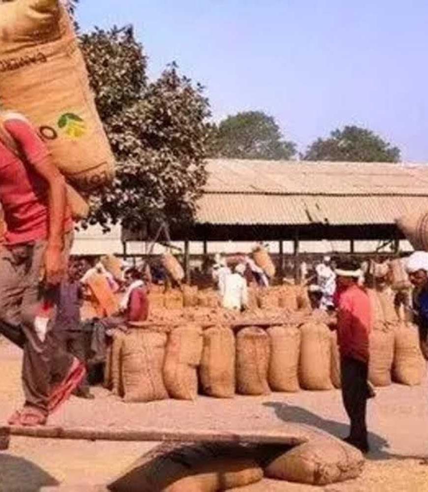 खेत से बाजार तक बदलेगा किसानों का सफर, ट्रेड शो में ब्रांडिंग और डिजिटल बिक्री का मंत्र