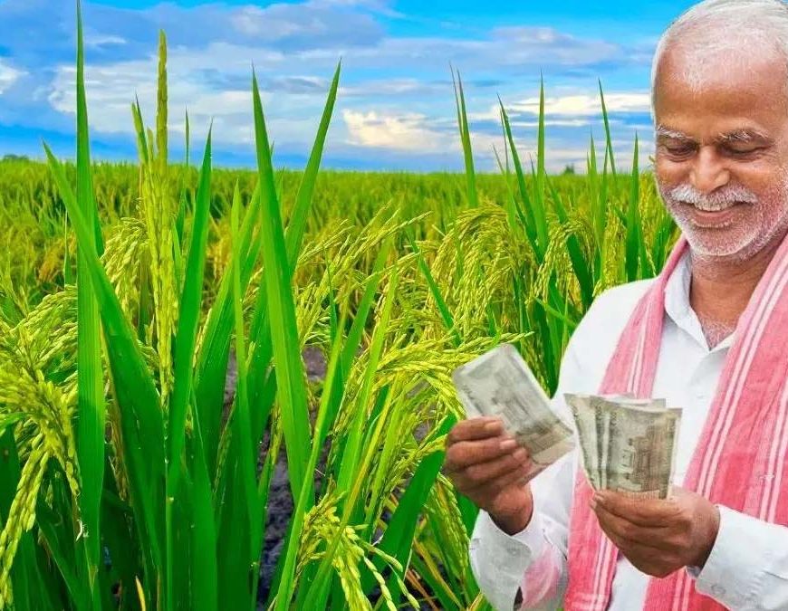 PM Kisan 24वीं किस्त का इंतजार, झारखंड के 19.97 लाख किसानों को अक्टूबर में मिल सकता है पैसा