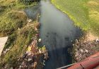 CG हाईकोर्ट की सख्ती, पूछा- 4 STP से कैसे साफ होगा अरपा नदी में गिरने वाले 70 नालों का पानी?