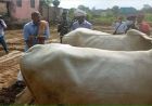नाना पाटेकर का बिहार से खास नाता, कभी खेत में हल चलाया तो जवानों के बीच सुनाए फिल्मी डायलॉग