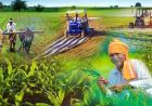 त्रिवर्षीय आबकारी नीति से निर्यात उछला तो यूपी में किसानों और उद्योगों के लिए बढ़े अवसर