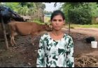 डेयरी व्यवसाय से संध्या बनीं आत्मनिर्भर, दूध की बिक्री से हर महीने हो रही 15 हजार रुपये की बचत