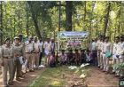 वृक्षों के पातन और लॉगिंग पर आयोजित हुई वर्कशॉप, उन्नत तकनीकों के साथ श्रमिक सुरक्षा पर जोर