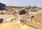 हरियाणा में 1,433 चावल मिलों का ऑनलाइन पंजीकरण, 1,215 का जियो-फेंसिंग से सत्यापन पूरा